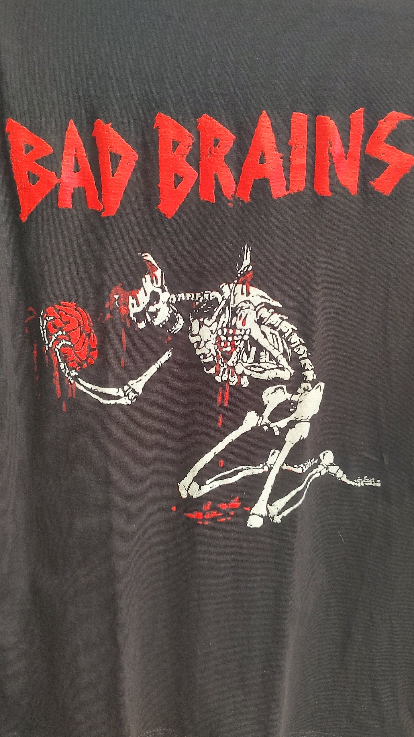 Bad Brains